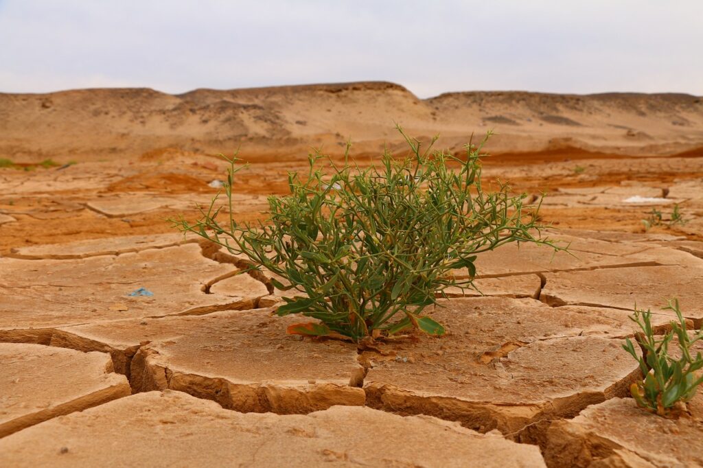 Climate action plans under the Paris Agreement