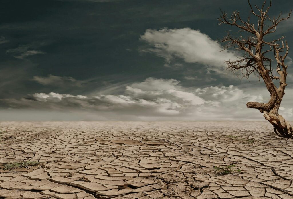 Record global temperatures 2024