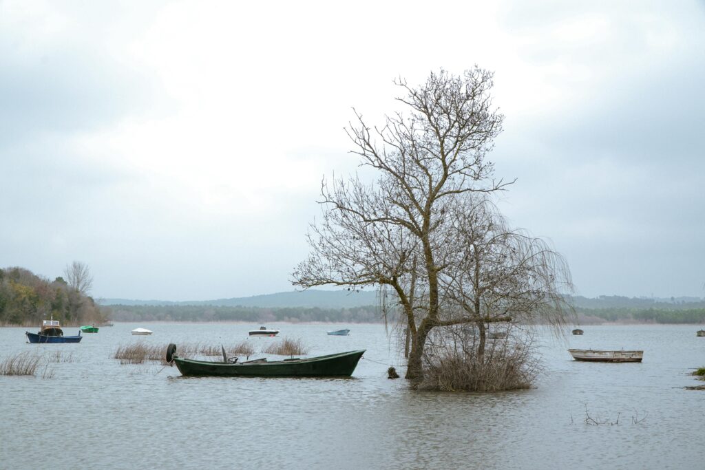 Deadly Floods Devastate Kentucky as Storms Bring Snow and Freezing Cold