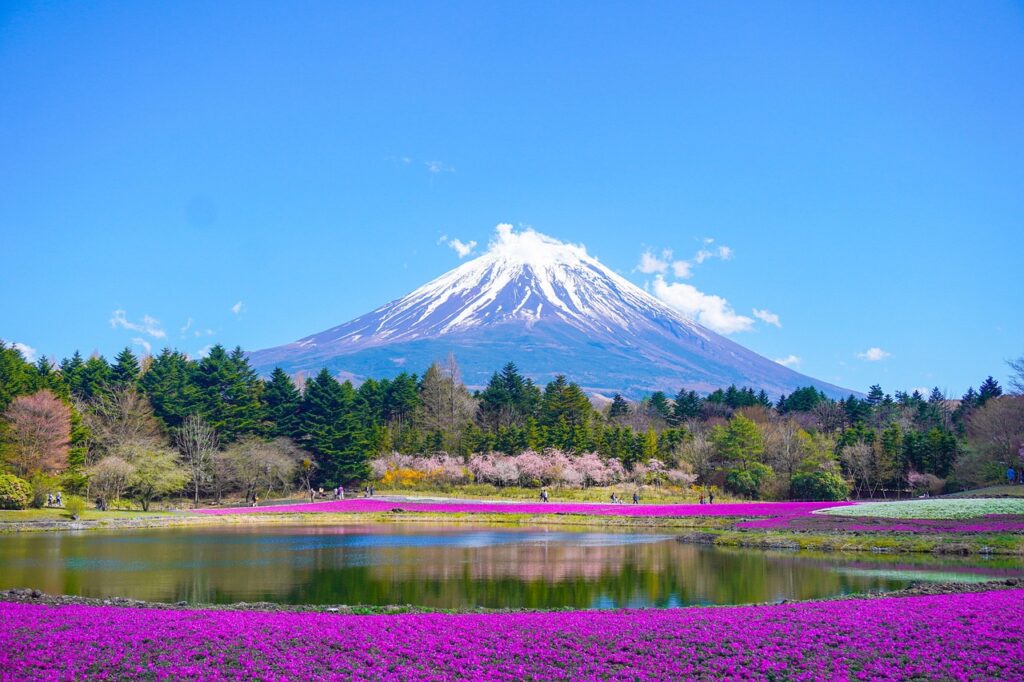 Mount Fuji Entry Fee: Tackling Overtourism & Safety