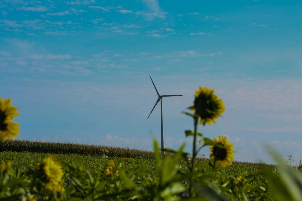 Big Green Energy Plans in Danger as U.S. Budget Cuts Loom